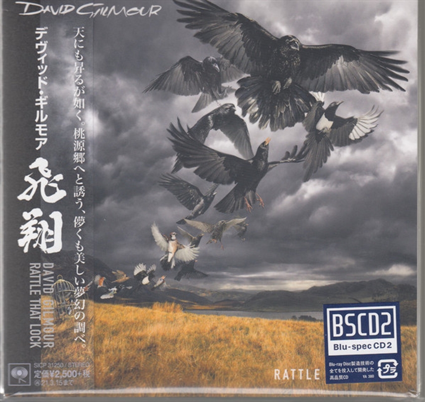 Rattle That Lock/Product Detail/Rock