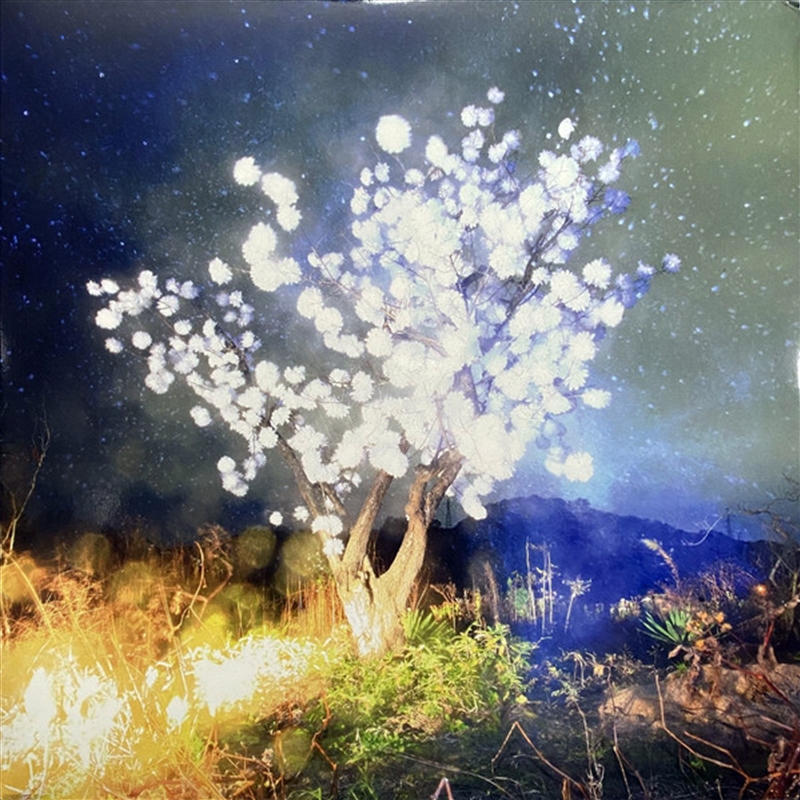 Vertigo Days/Product Detail/Rock