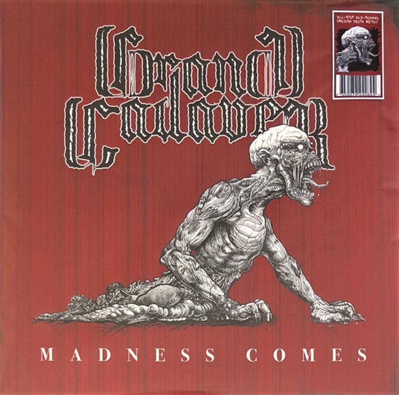 Madness Comes/Product Detail/Pop