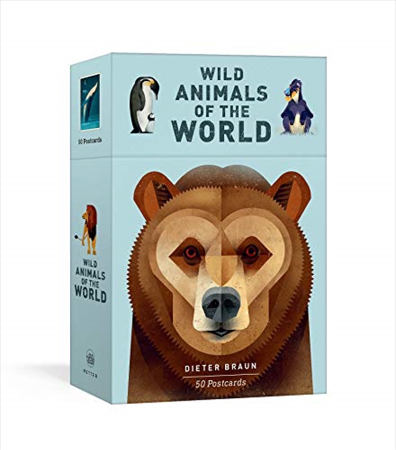 Wild Animals Of The World: 50 Postcards/Product Detail/Notebooks & Journals