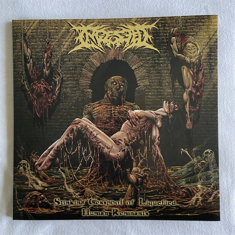 Stinking Cesspool Of Liquified/Product Detail/Rock