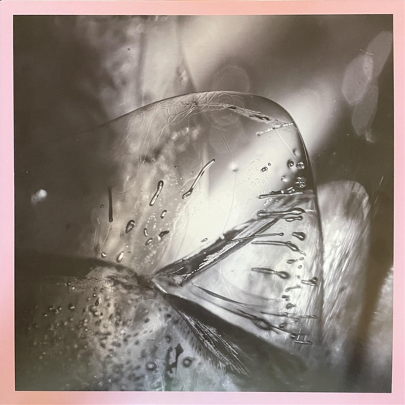 Clara/Product Detail/Dance