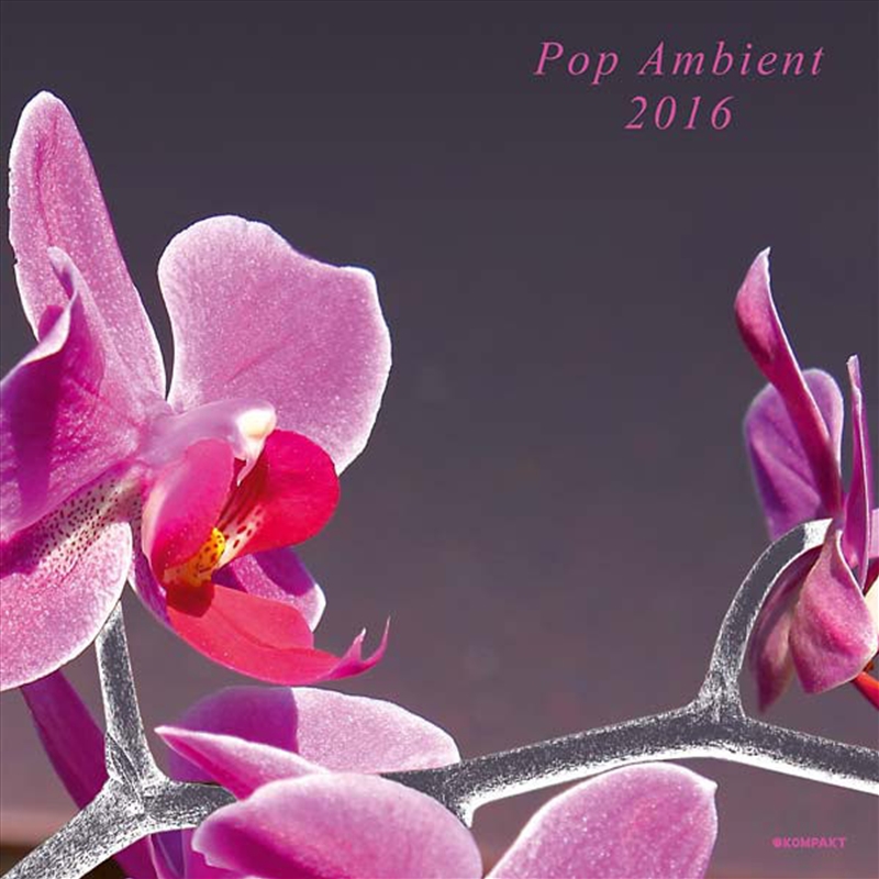 Pop Specialist 2016/Product Detail/Dance