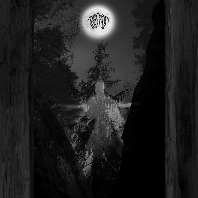 Amidst The Trees/Product Detail/Rock