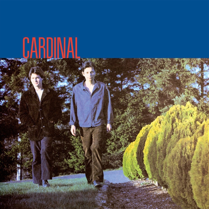Cardinal/Product Detail/Rock