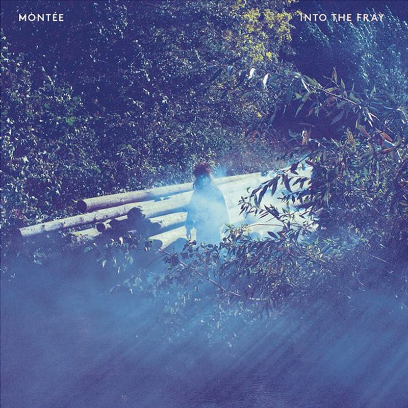 Into The Fray/Product Detail/Rock