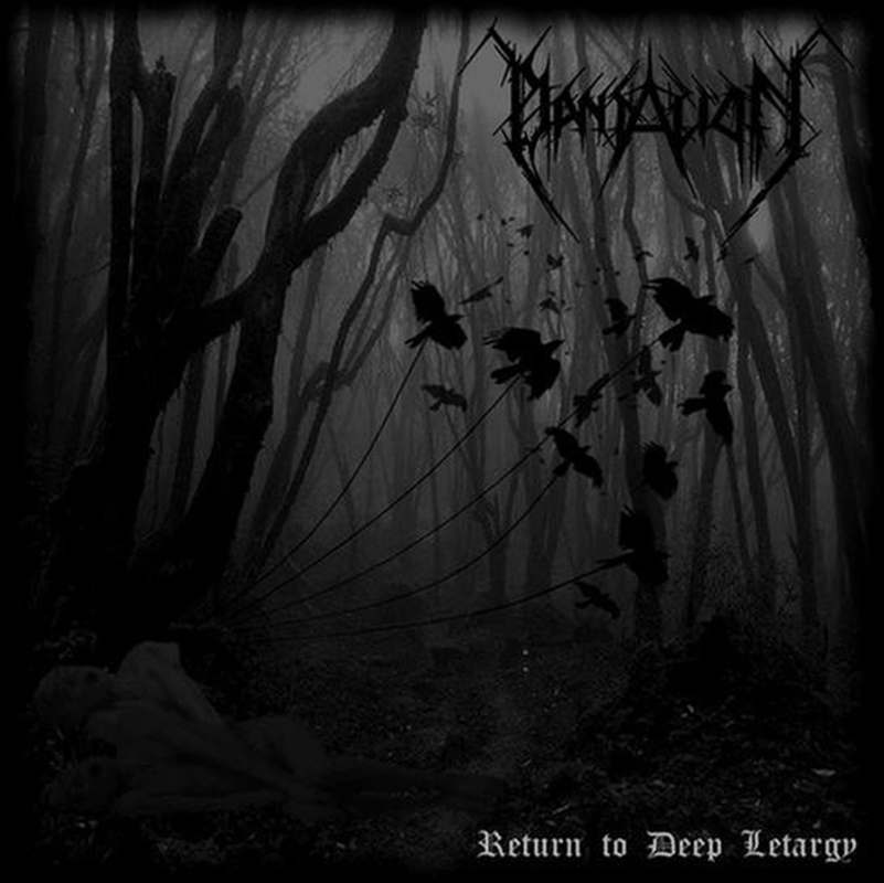 Return To Deep Lethargy/Product Detail/Rock