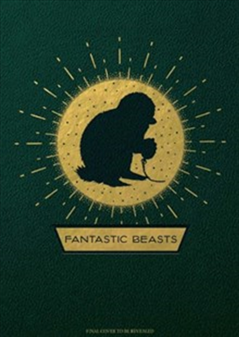 Fantastic Beasts: The Crimes of Grindelwald: Magical Creatures Hardcover Blank Sketchbook/Product Detail/Notebooks & Journals