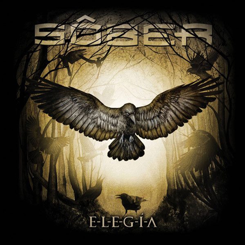 Elegia/Product Detail/Pop
