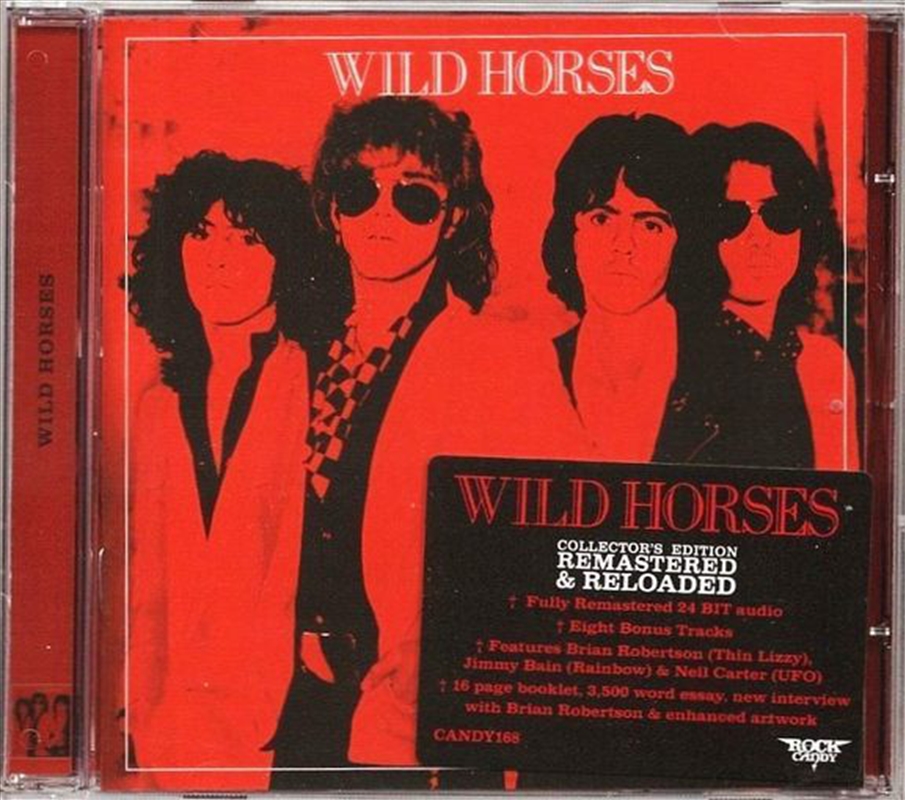 Wild Horses/Product Detail/Rock