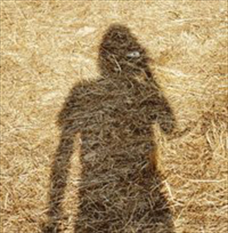 Unreleased Electronic Music/Product Detail/Rock