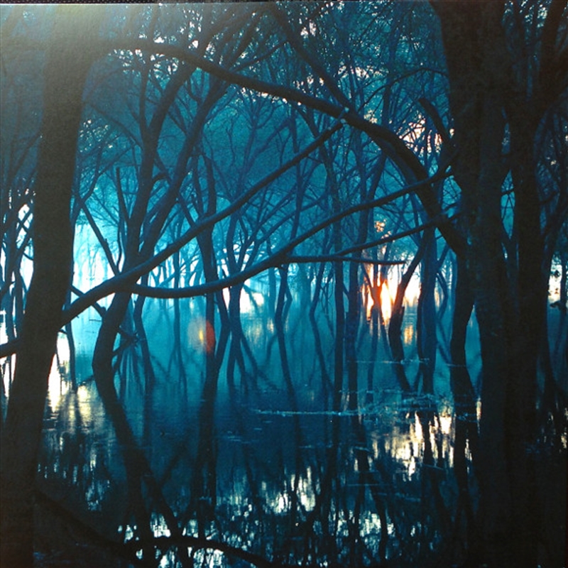 Kiasma/Product Detail/Pop