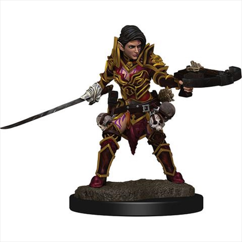 Pathfinder - Elf Paladin Female Premium Figure/Product Detail/RPG Games