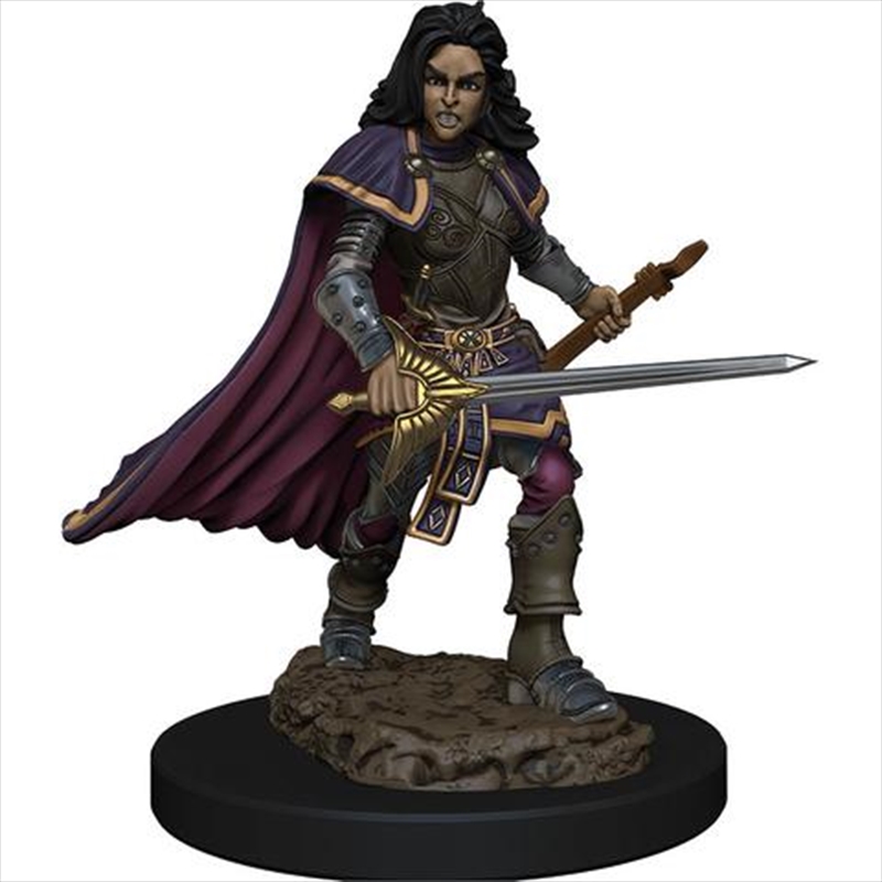 Pathfinder - Human Bard Female Premium Figure/Product Detail/RPG Games