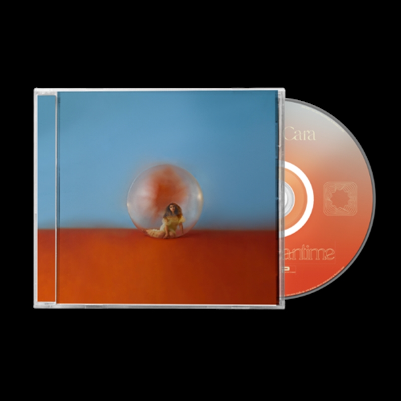 In The Meantime/Product Detail/Pop