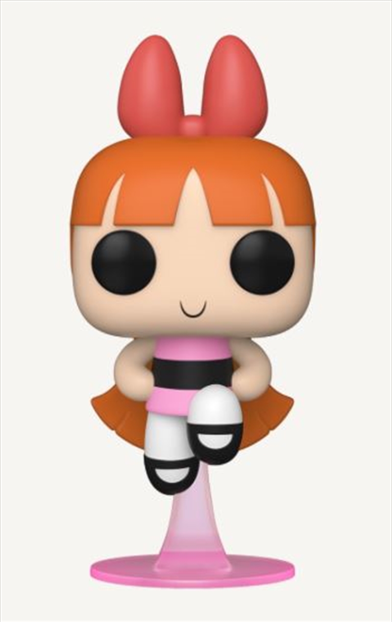 Powerpuff Girls - Blossom Pop! Vinyl/Product Detail/TV