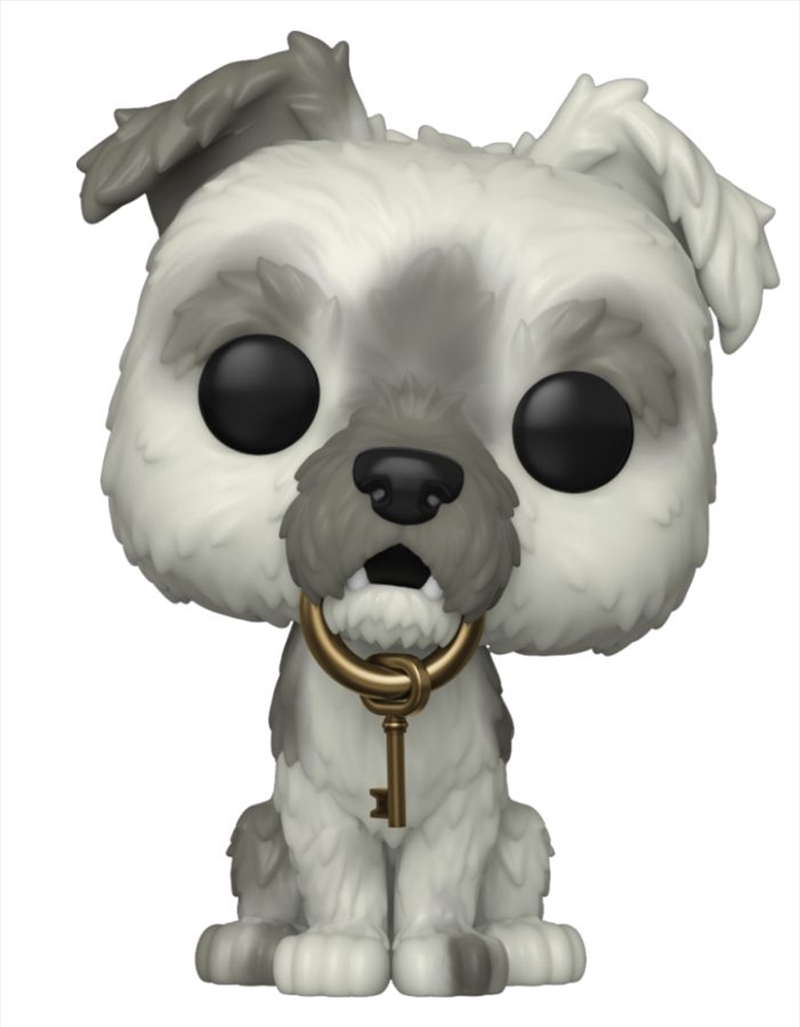Disney World - Pirates of the Caribbean Dog with Keys 50th Anniversary Pop! Vinyl/Product Detail/Movies