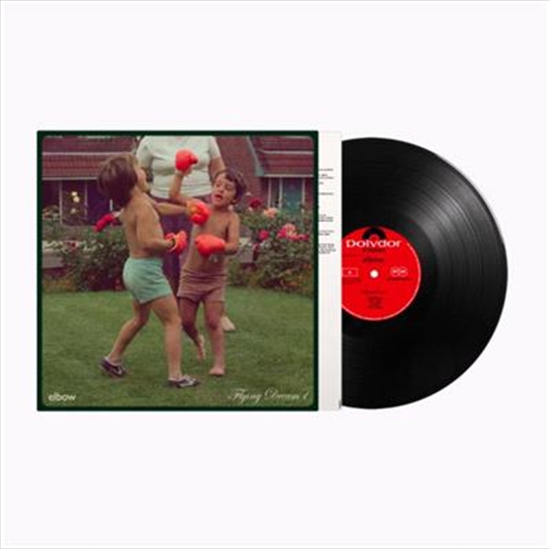 Flying Dream 1/Product Detail/Alternative