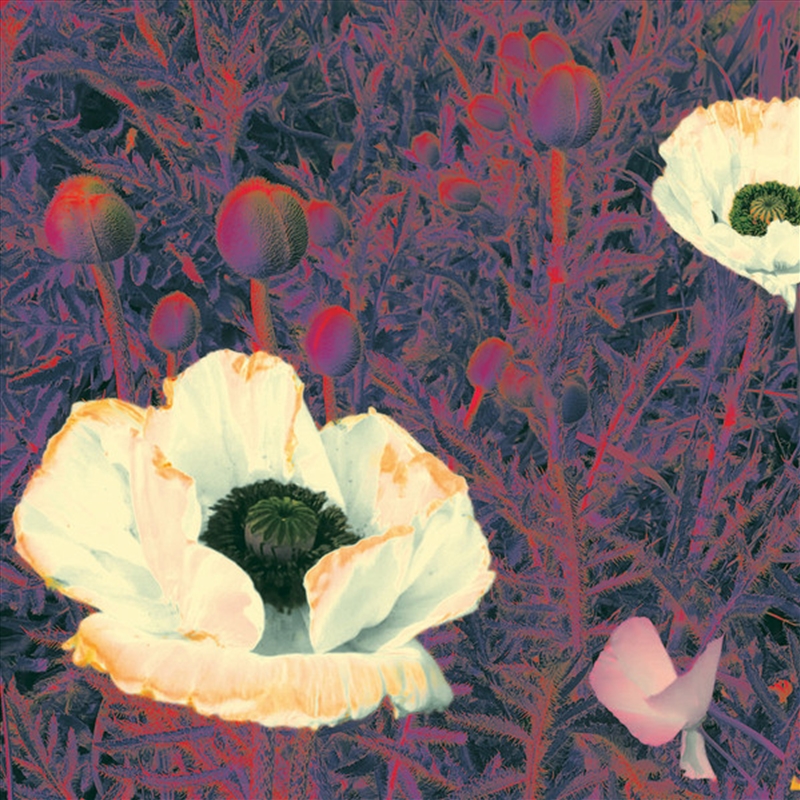 Sunlight Might Weigh Even More/Product Detail/Pop