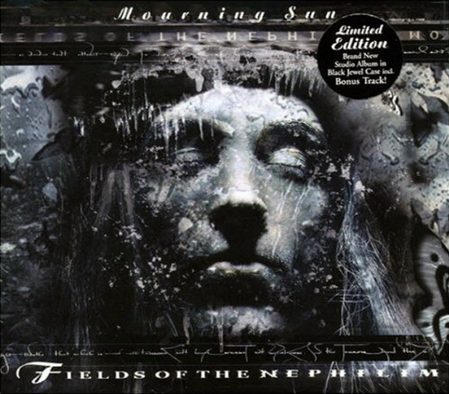 Morning Sun/Product Detail/Rock/Pop