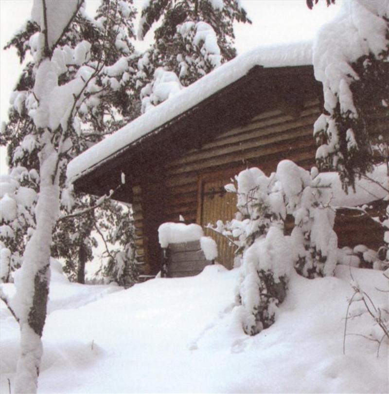 Mi And Lau/Product Detail/Rock/Pop