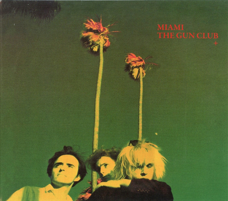 Miami/Product Detail/Rock