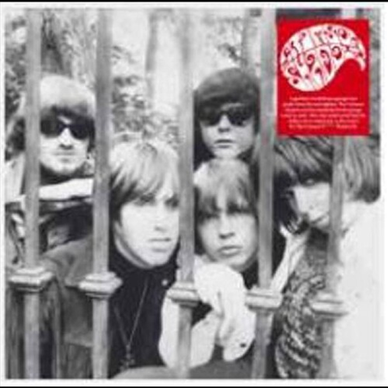 It's The Fucking Shadows/Product Detail/Pop