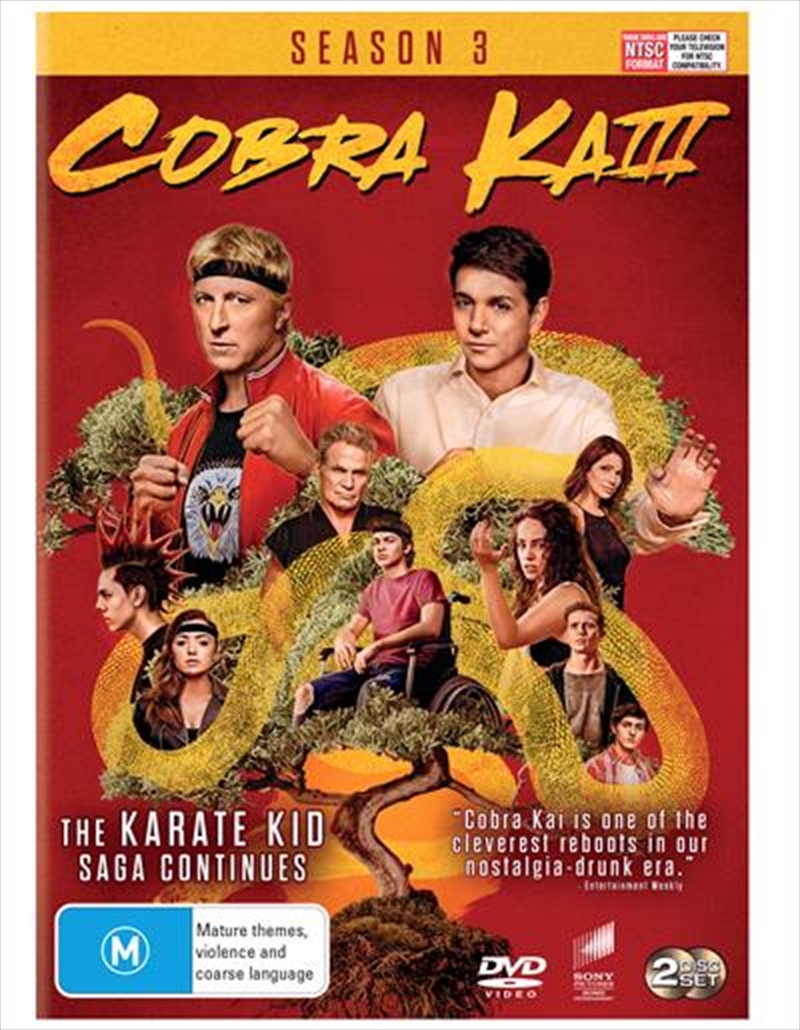 Cobra Kai - Season 3/Product Detail/Action