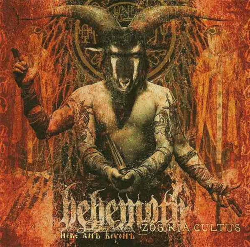 Zos Kia Cultus/Product Detail/Metal