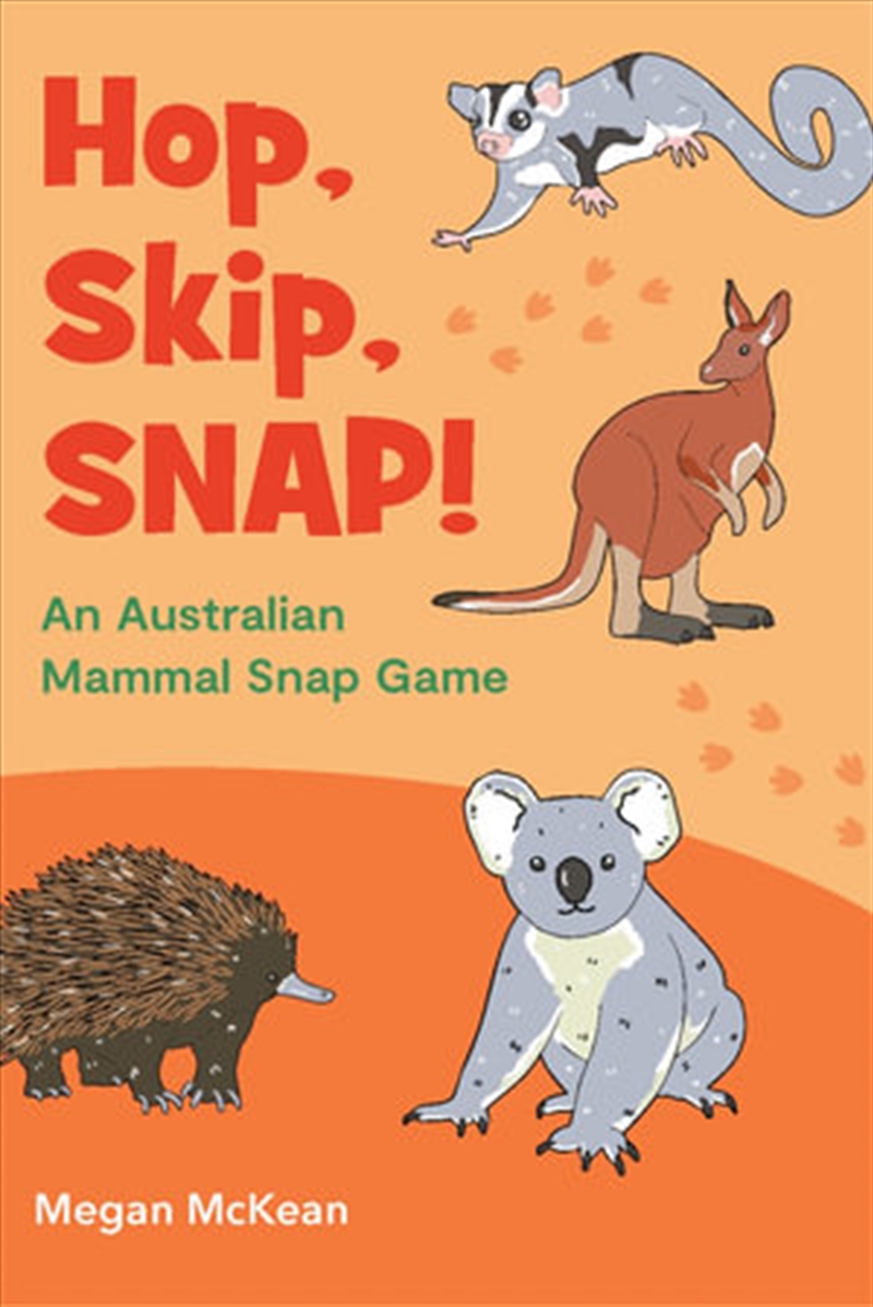 Hop Skip Snap/Product Detail/Card Games