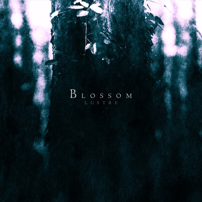 Blossom/Product Detail/Rock
