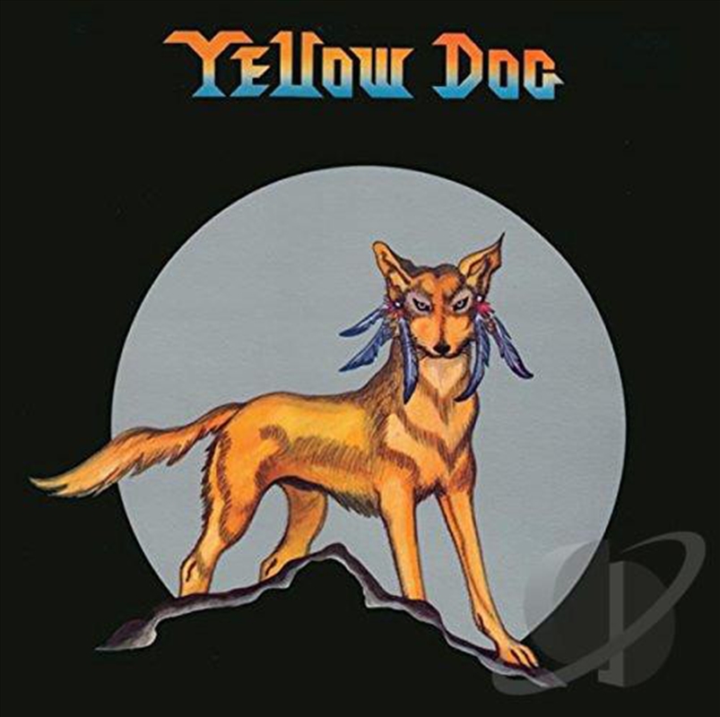 Yellow Dog/Product Detail/Rock