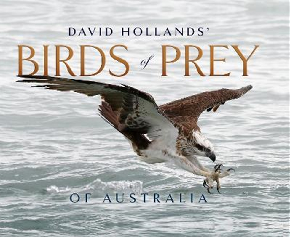 David Hollands' Birds of Prey Of Australia/Product Detail/Reading