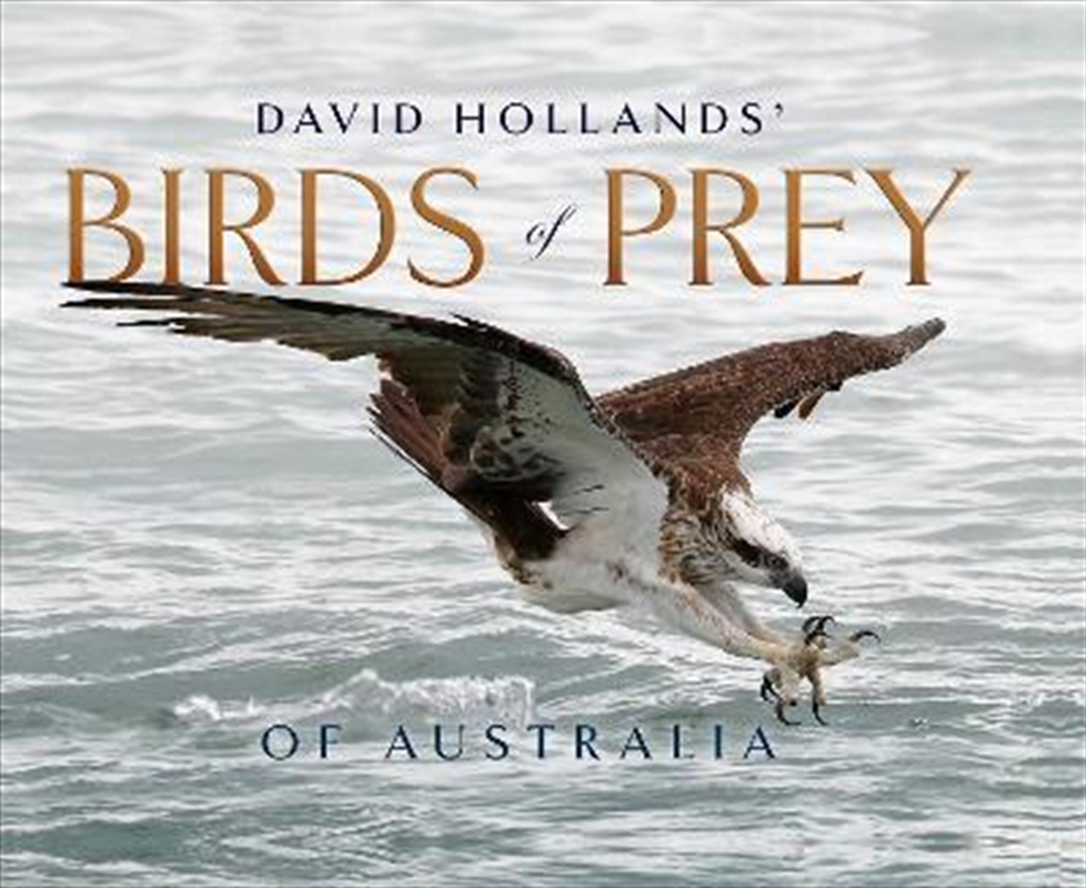 David Hollands' Birds of Prey Of Australia/Product Detail/Reading