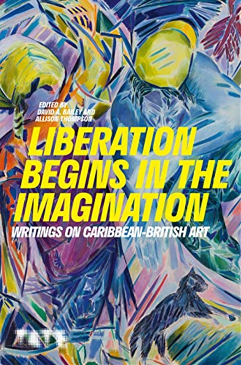 Liberation Begins In The Imagination: A Reader /anglais/Product Detail/Arts & Entertainment