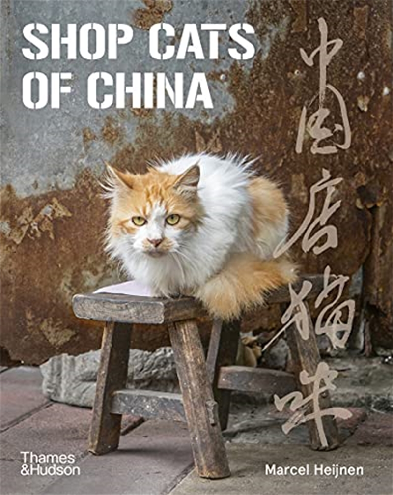 Shop Cats Of China/Product Detail/Animals & Nature
