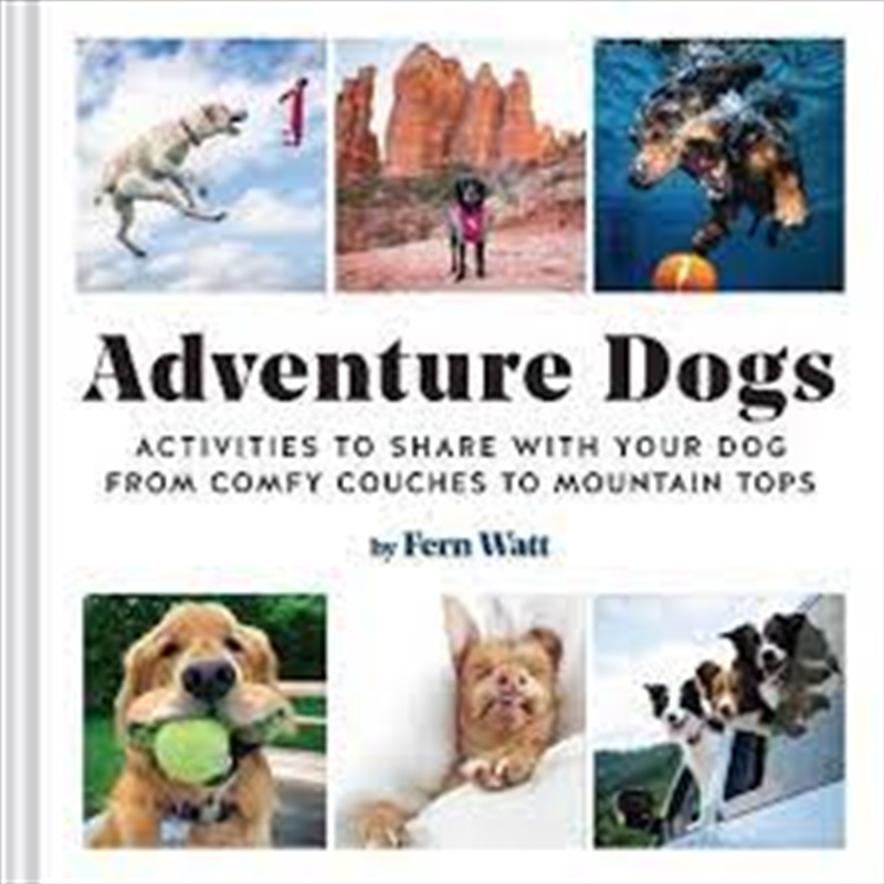 Adventure Dogs: Activities To Share With Your Dog?From Comfy Couches To Mountain Tops/Product Detail/Animals & Nature