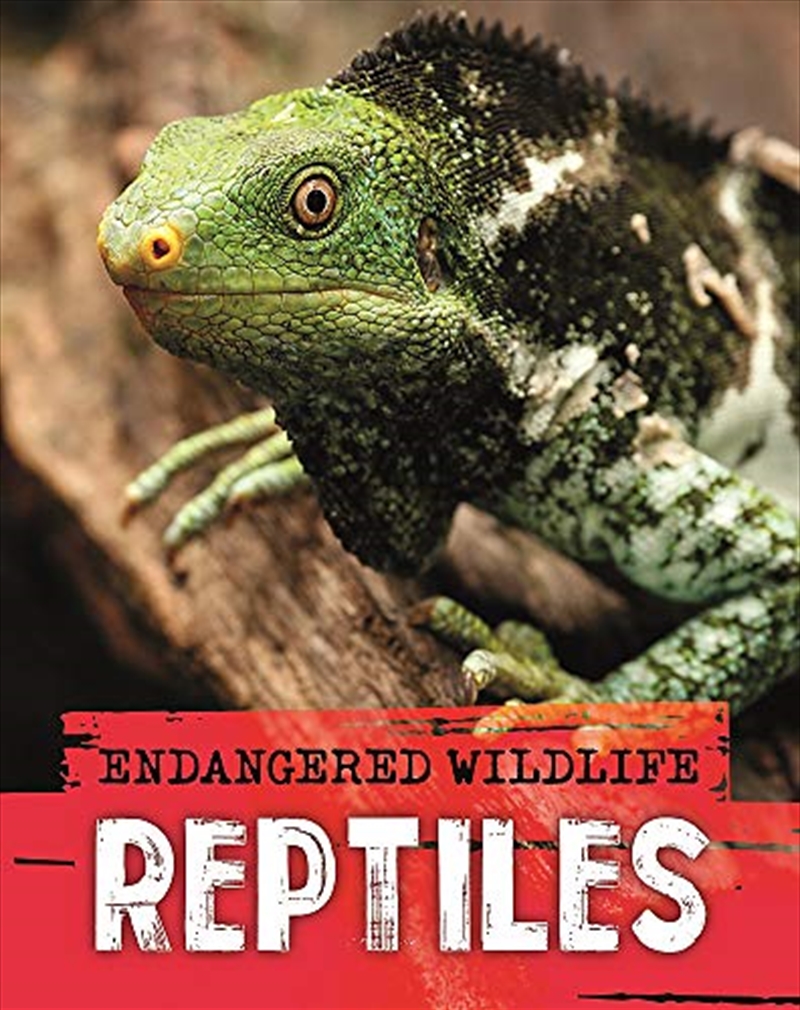 Endangered Wildlife: Rescuing Reptiles/Product Detail/Animals & Nature