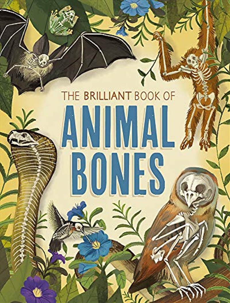 Brilliant Book of Animal Bones/Product Detail/Animals & Nature