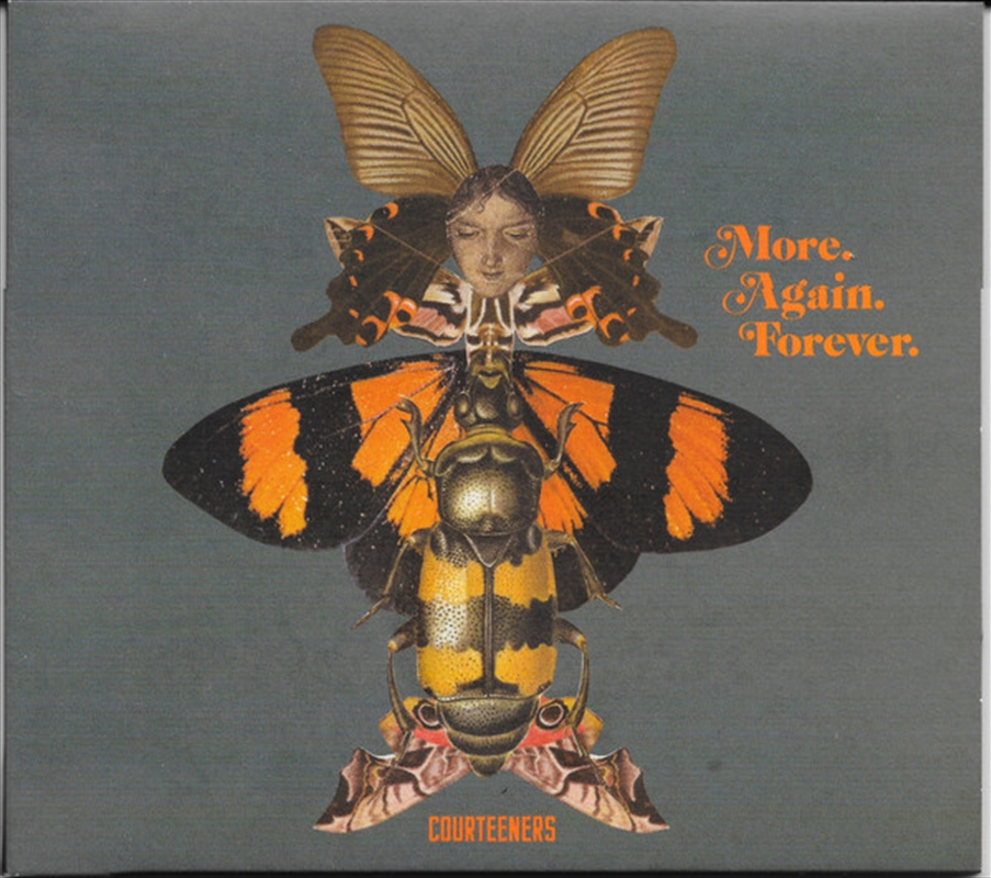 More Again Forever/Product Detail/Rock/Pop