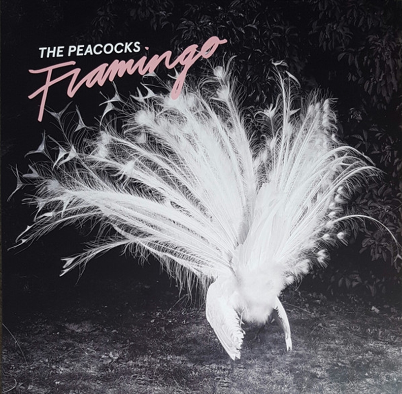 Flamingo/Product Detail/Country