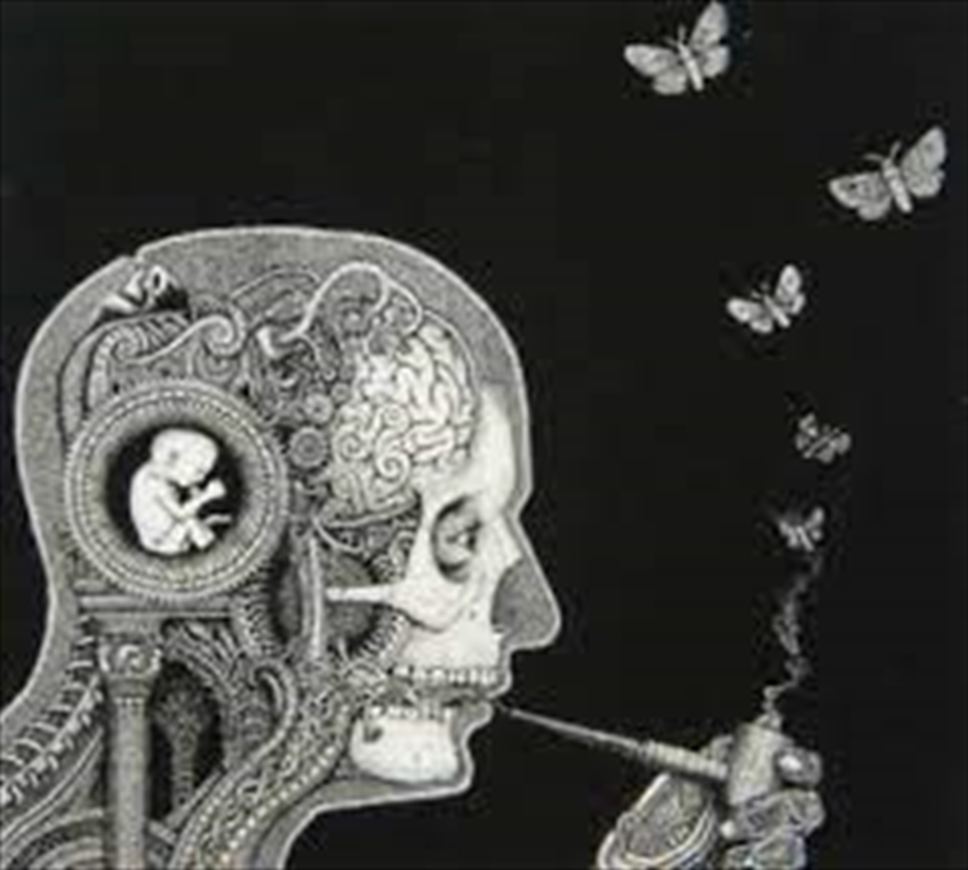 Cognitive/Product Detail/Rock