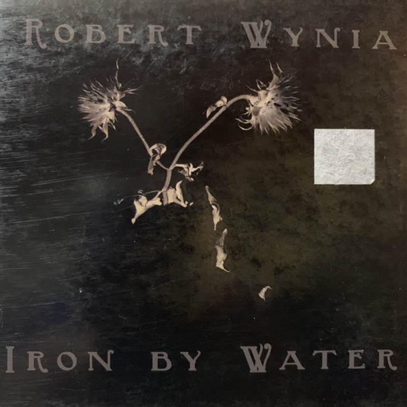 Iron By Water/Product Detail/Rock