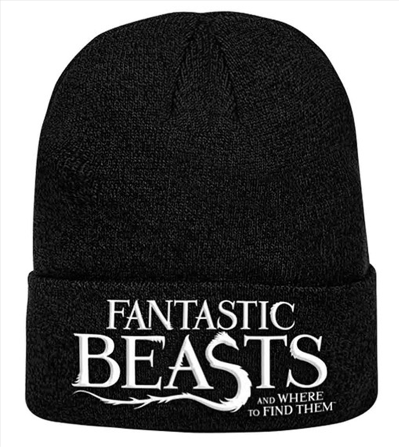 Fantastic Beasts Logo Knitted Ski Hat  Beanie/Product Detail/Beanies & Headwear