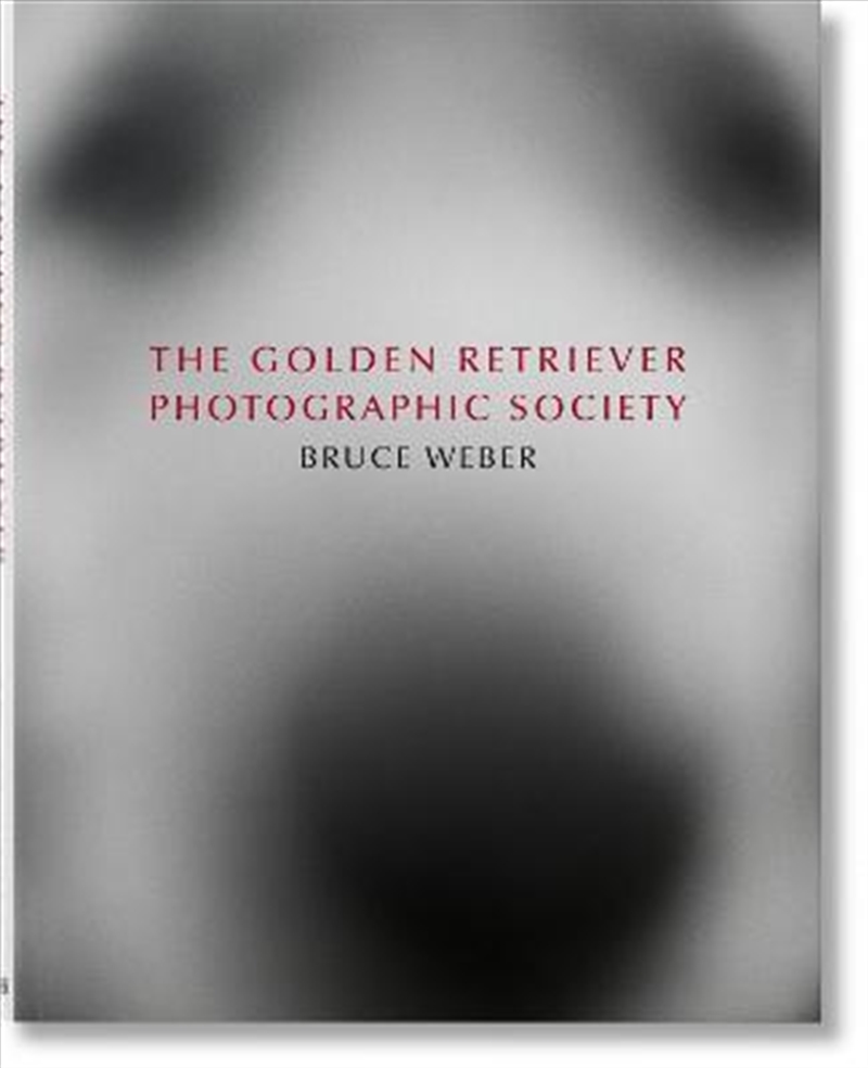 Bruce Weber Golden Retriever/Product Detail/Reading