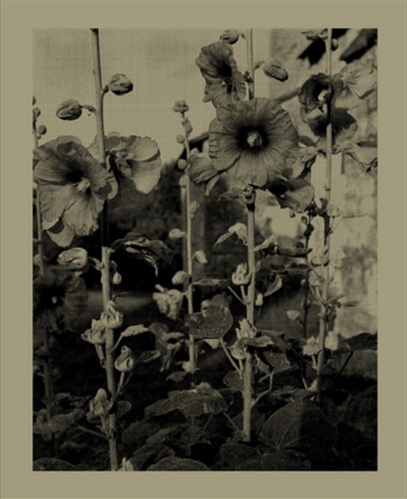 Nicholas Nixon: Closing the Distance/Product Detail/Reading