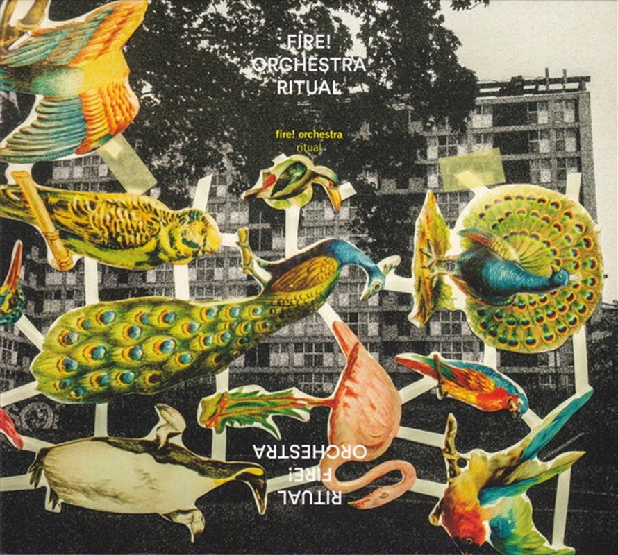 Ritual/Product Detail/Jazz