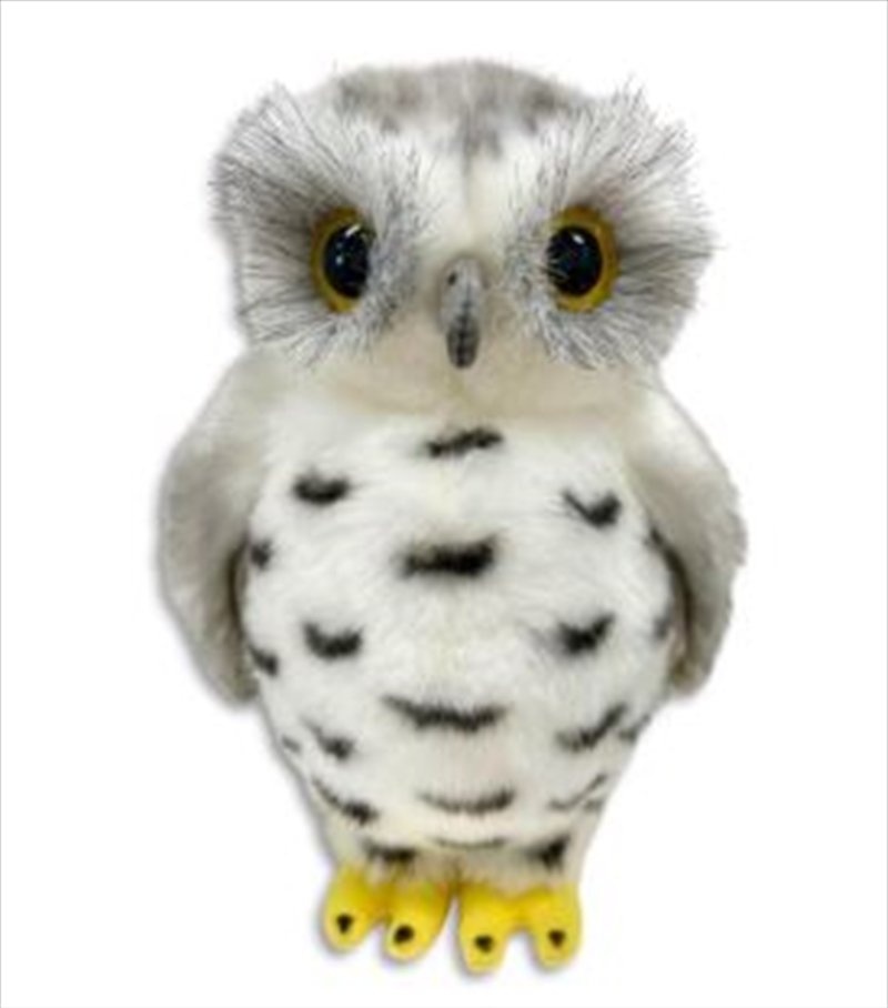 Peepers The Powerful Owl 20cm Plush/Product Detail/Plush Toys