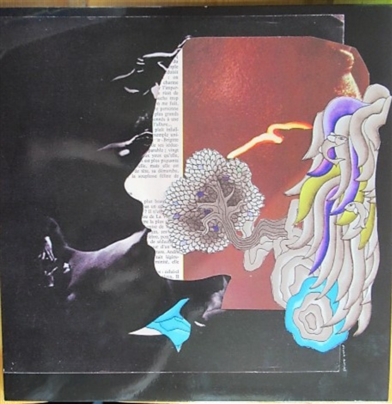 Dirty French Psychedelics/Product Detail/Rock