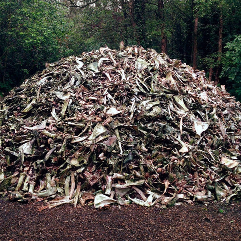 Ii/Product Detail/Rock